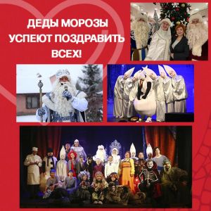 Ёлок хватит на всех!