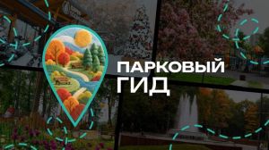 «Парковый гид Подмосковья»: всё о парках — в одном чат-боте