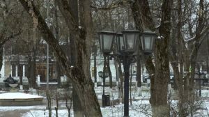 Чехов в Звенигороде