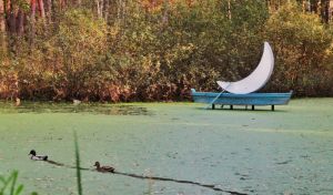 В парках Одинцовского городского округа прошли мероприятия проекта «Территория фотоискусства»