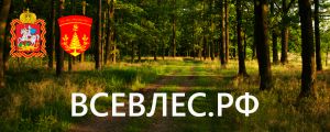 Все в лес